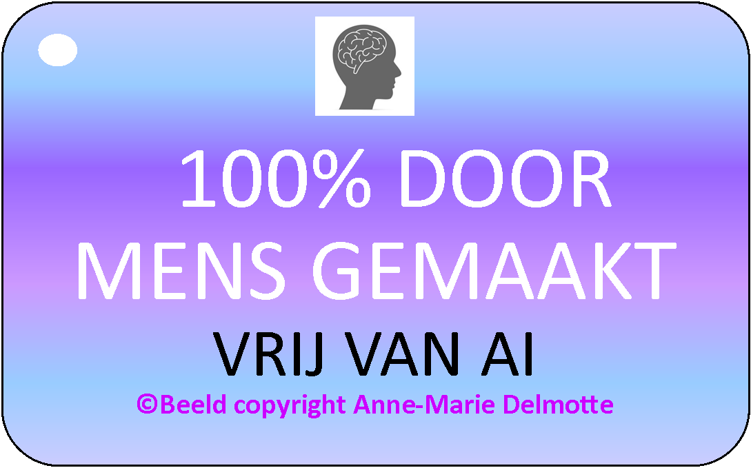 Geen AI of AI tools gebruikt bij het maken van dit boek
