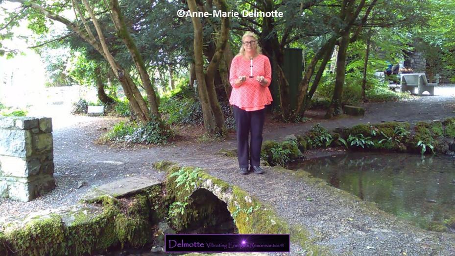 Lecher antenne Geobiologie basis wateraders