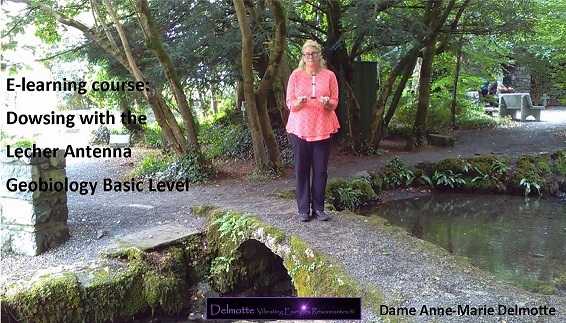 Leer Lecher antenne geobiologie in zaal en de natuur
