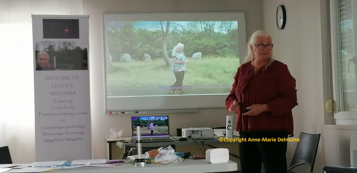 Leer Lecher antenne Geobiologie